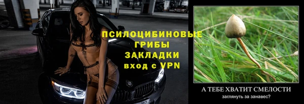 прущие крисы Козельск